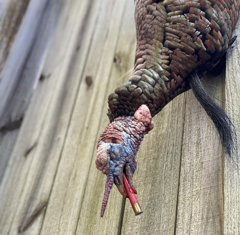 4376D7C4-93E5-41C3-8D9A-073EAB490770