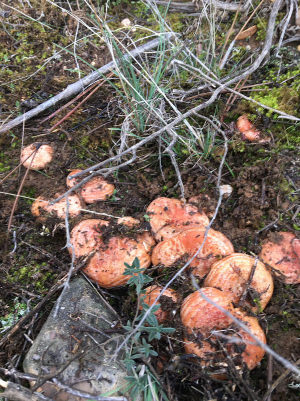 93389B3D-F5EC-4D7C-9906-4BD33802B3EA