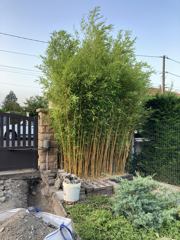 CD65CCAA-5D26-481D-B6CB-B2224CB56B6E