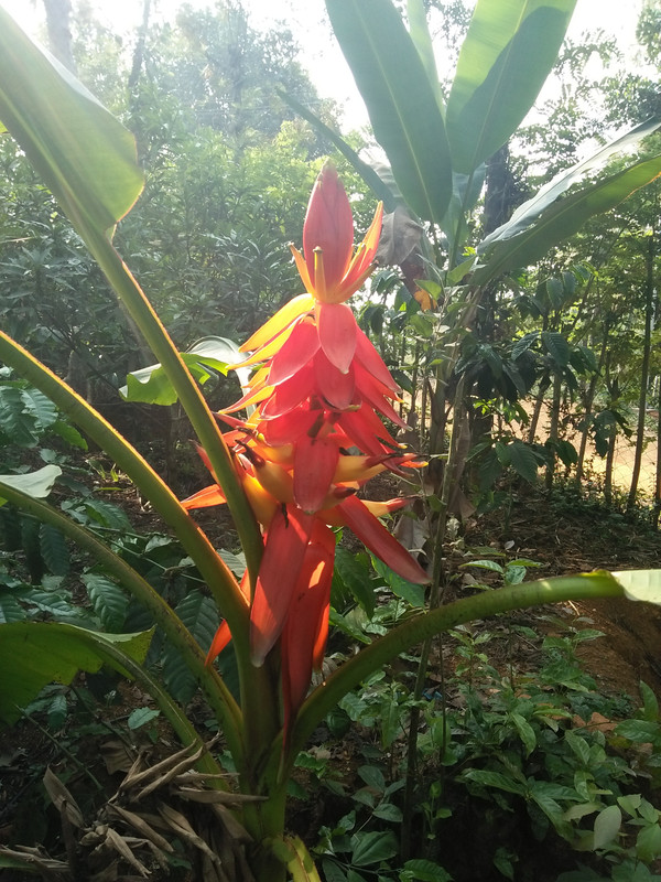 IMG20170428082013