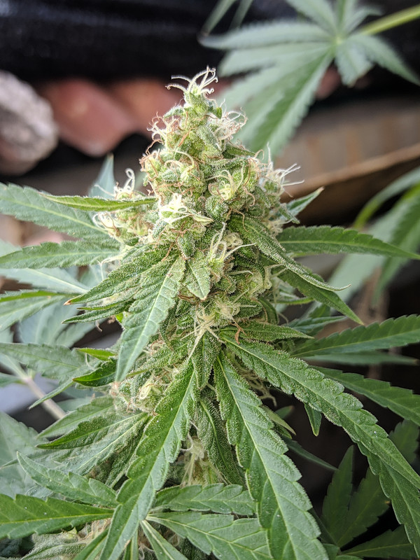 HC_20221019_171931_null