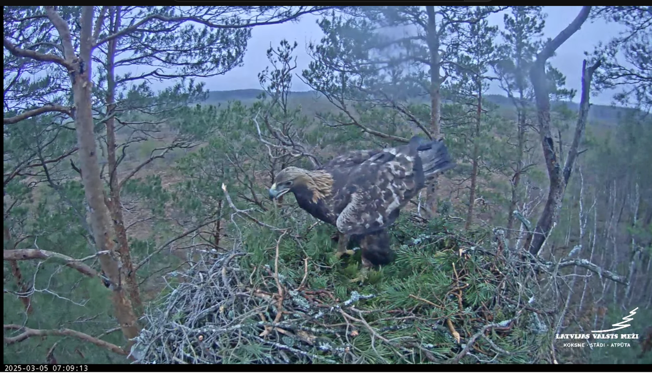 Ekrānuzņēmums 2025-03-05 075256