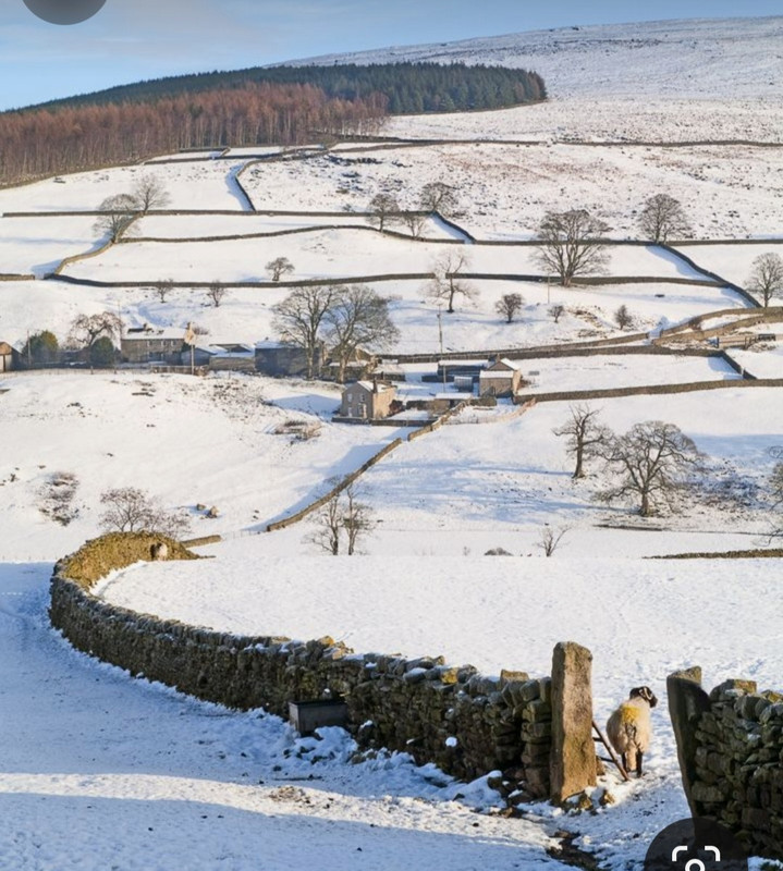 Screenshot_20231222_110101_Pinterest