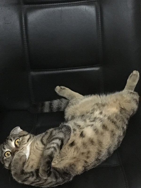 7097221C-0812-4F87-9B7D-457B38CAE544