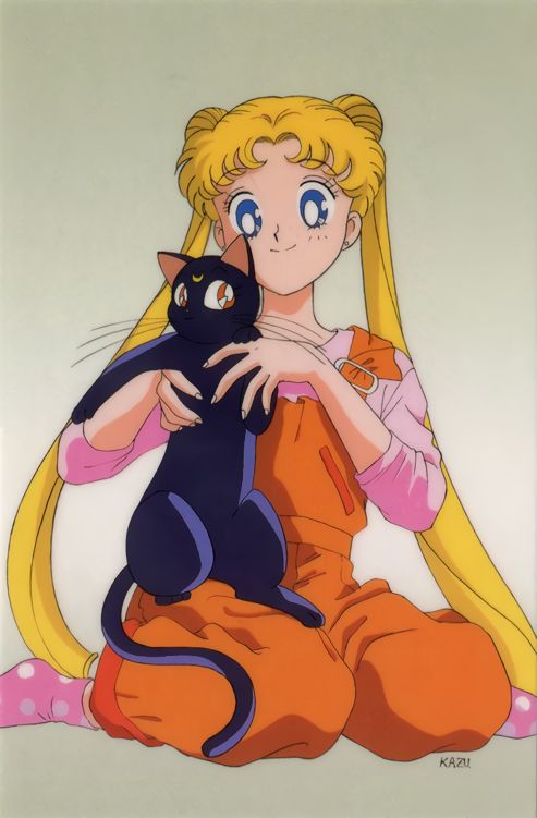 tsukino-usagi-and-luna-bishoujo-senshi-sailor-moon-88cf0aacda19fede05fe514f29f860ca-1