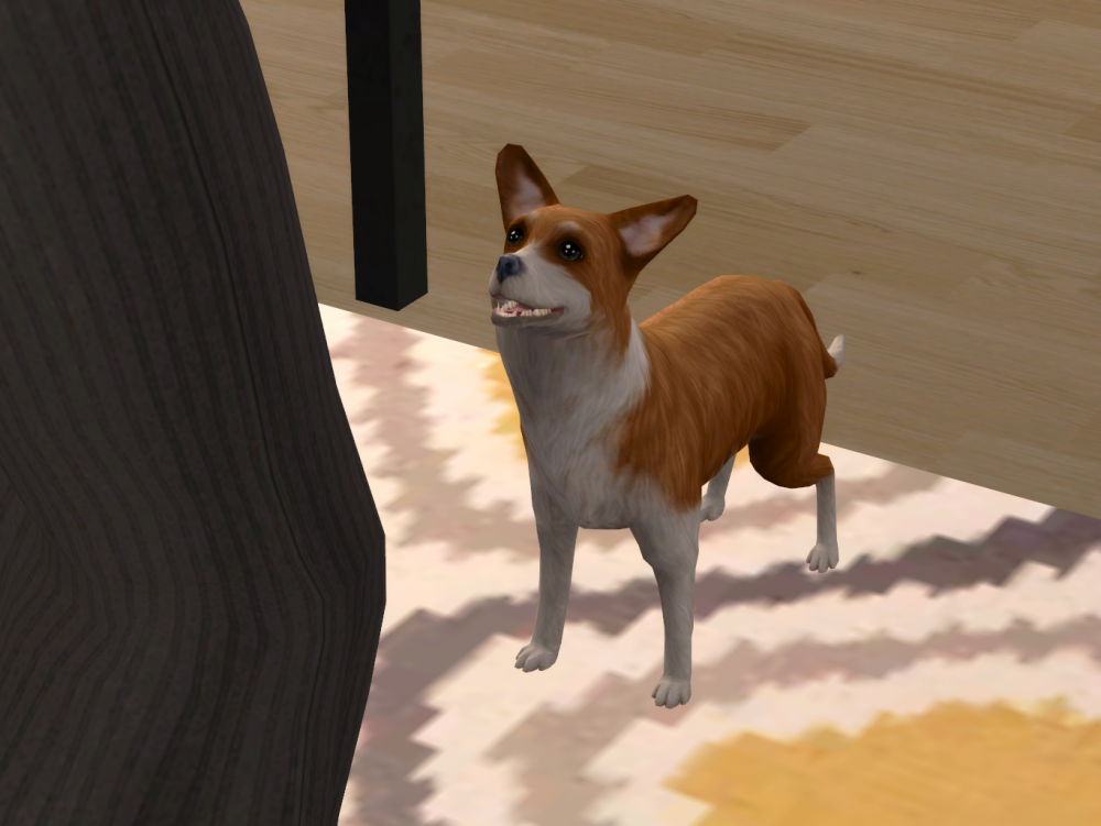 Sims2-EP9-RPC-2022-07-16-12-24-35-45