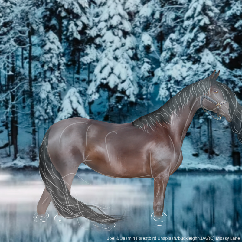 Untitled163-20220506095457.png