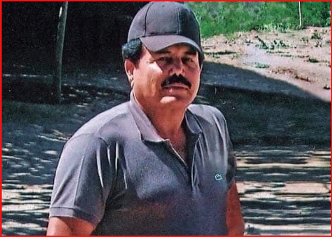 ¿Cuál es el grado de estudios de las hijas de El Mayo Zambada, líder del Cártel de Sinaloa?