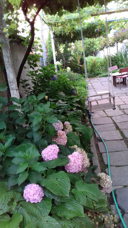 20190715_204217