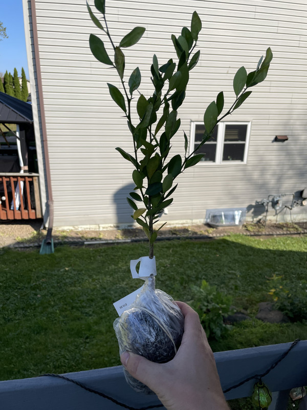 5B97A97D-0349-4853-A9FD-11F9F82EA040