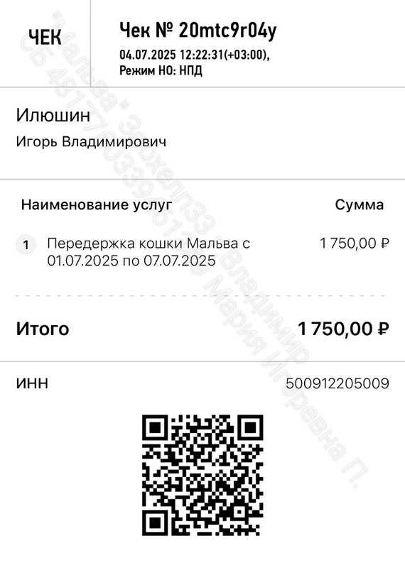 Q9NkQGYAztJW3Tkf7XM1waplNL_tWdz9l_RWapG-UC2_6B_x5qLJjJwt-D0uEo86x8M567RtV7jXy_4eycGUy53G