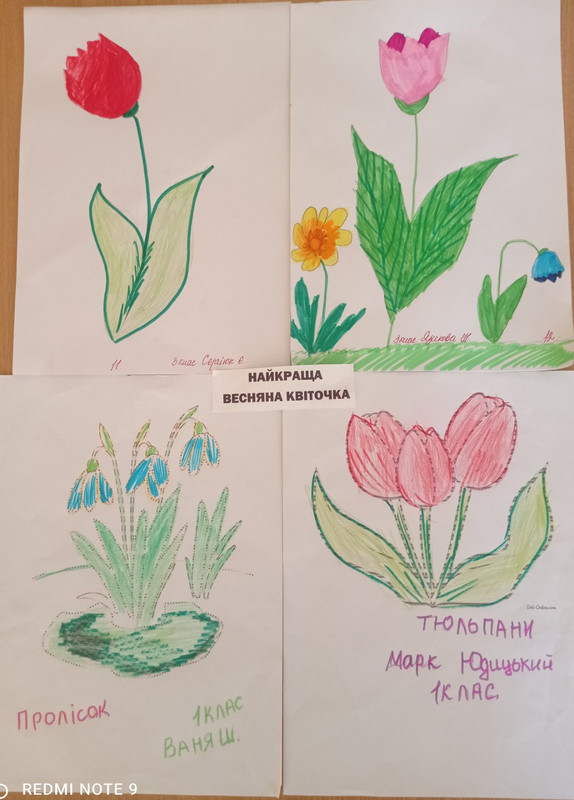 изображение_viber_2023-04-18_10-25-18-865