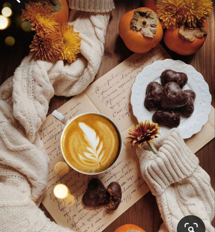 Screenshot_20231110_231927_Pinterest