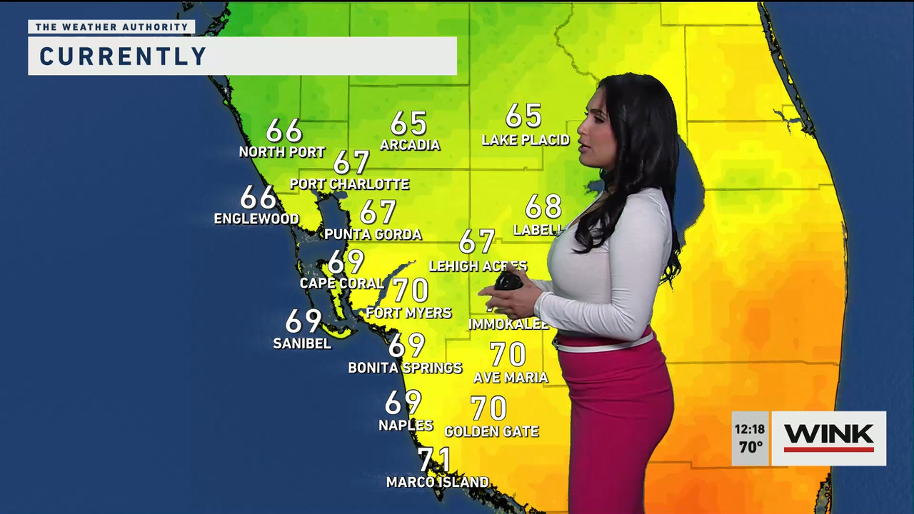 01.26 - 17.00.00 - The WINK Noon News  ᴺᵉʷ. Midday news update..ts_snapshot_25.03.520