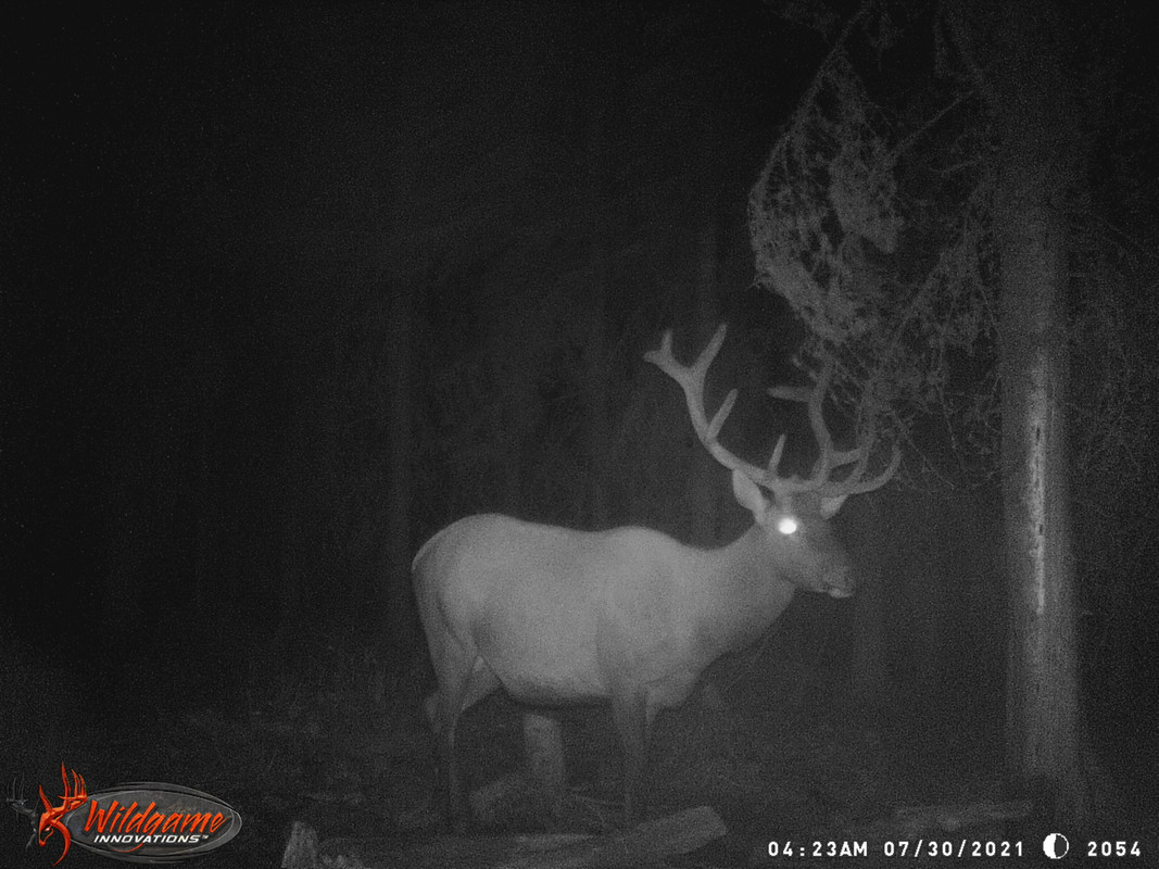 62E90954-2240-4A38-ACF1-6F3740409685