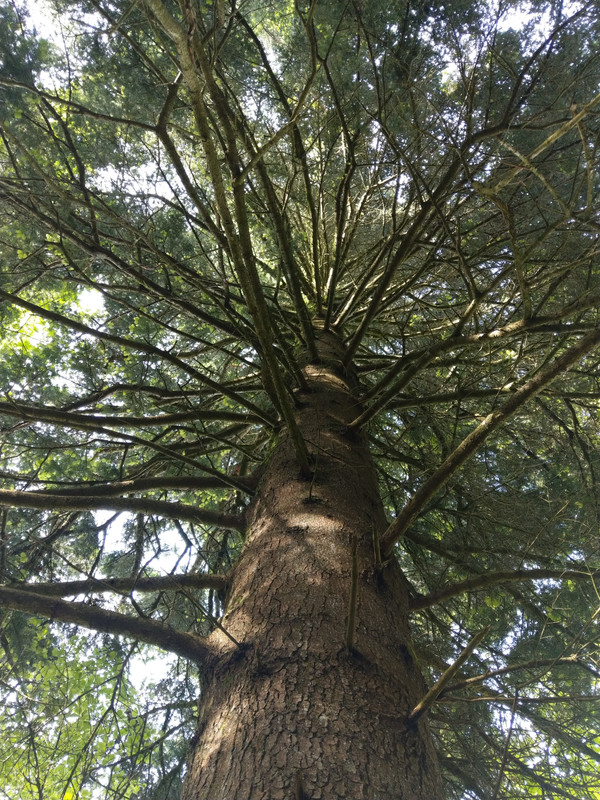 D85D5014-AC6E-43ED-8AD4-1EF38A88D69E