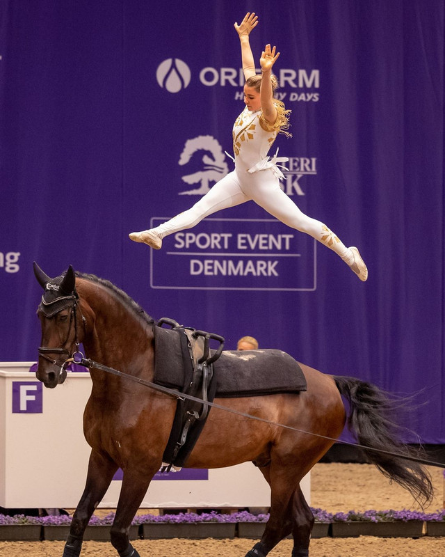 EQUINE_VOLTIS2Kimberly Palmer (USA) Herning 2022