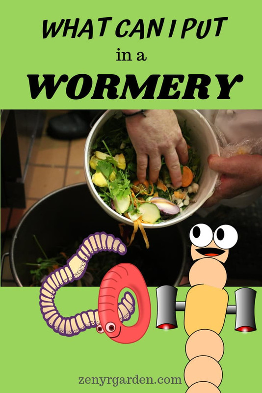 what-can-i-put-in-a-womery-pin.jpg