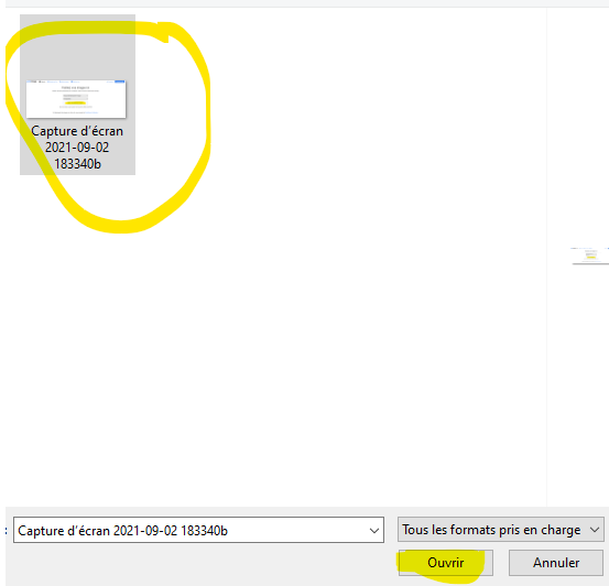 Capture d’écran 2021-09-02 183939