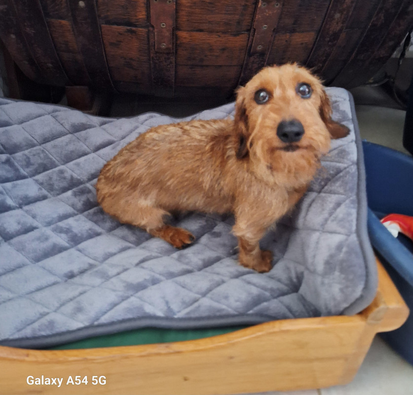 [Image: 20240921-170009.jpg]