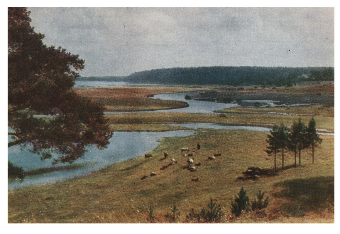 1964.наб.П.з-ник.№7