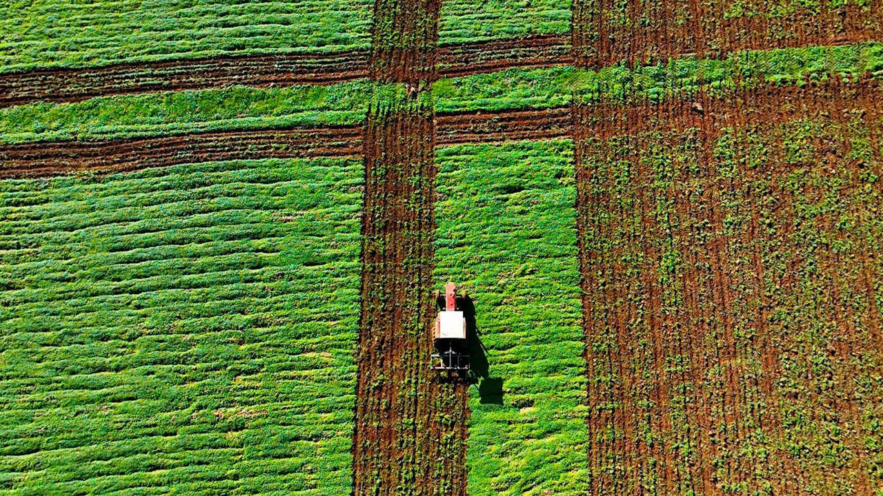 FB-IMG-1770552160487