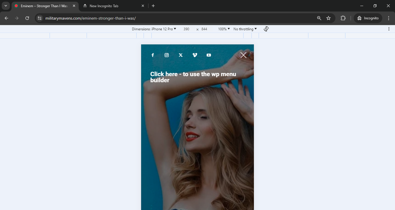 See menu items are not showing on mobile view in single post page.