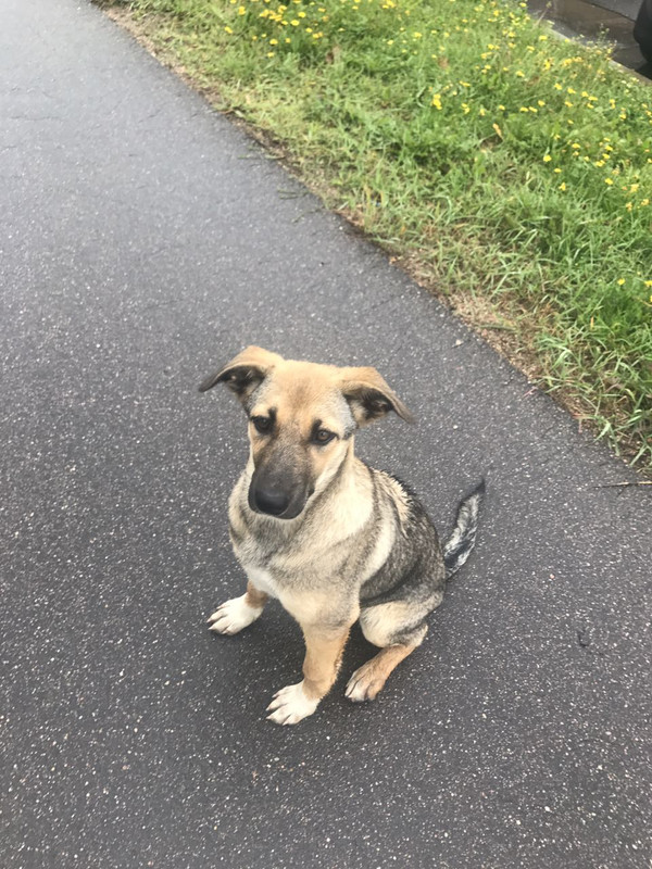 IMG-5cd3f3e1ad1cf2d6161e0f8140b2832c-V