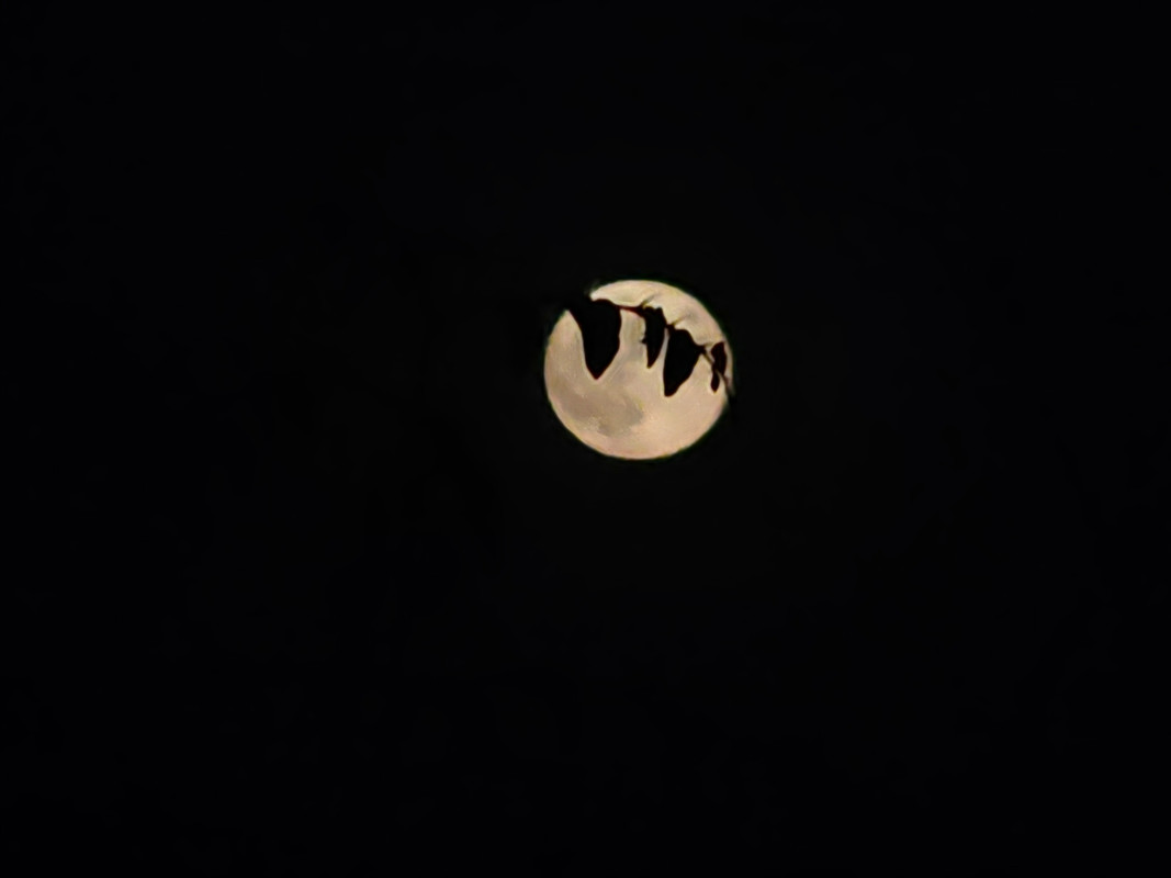 IMG_20230929_193842