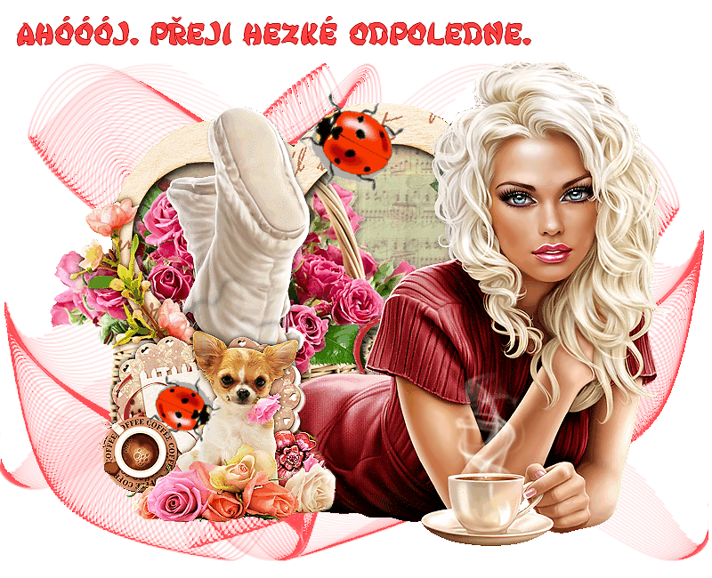 bdac1a3bc8-102059510-o2.png