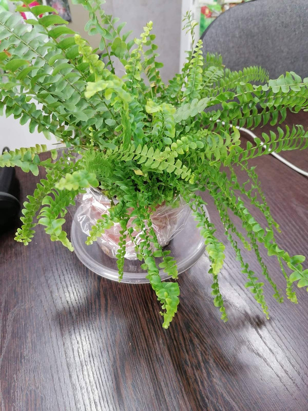 изображение_viber_2024-10-26_12-35-12-051