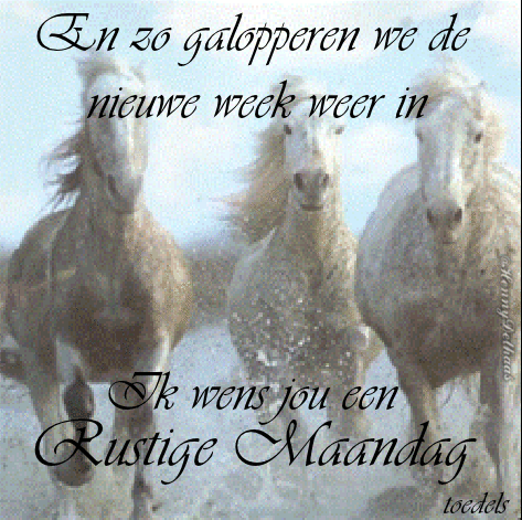 en_zo_galopperen_we_de_nieuwe_week_weer_in_ik_wens_jou_een_rusti