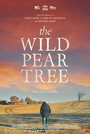 The Wild Pear Tree 2018 1080p BluRay x264 DEPTH