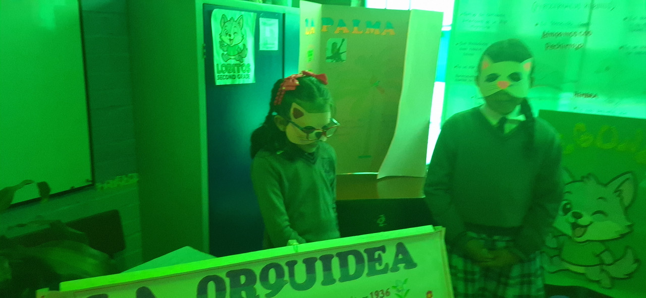 1 Bienal Colombiana (17)