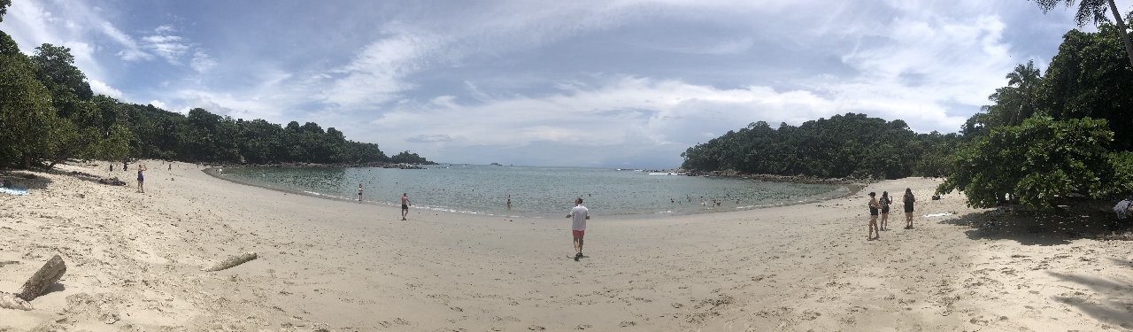 DE TORTUGAS Y PEREZOSOS. COSTA RICA 2019 - Blogs de Costa Rica - DIA 14: PARQUE DE MANUEL ANTONIO (24)