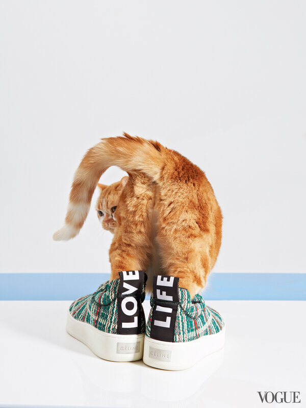cats-kittens-flats-shoes-09-172731953482