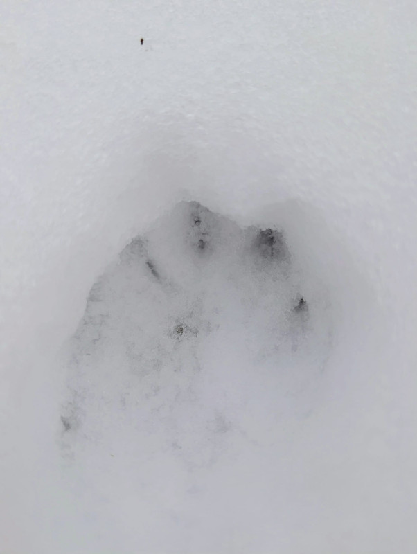 Whats App Image 2026 01 08 at 10 34 19