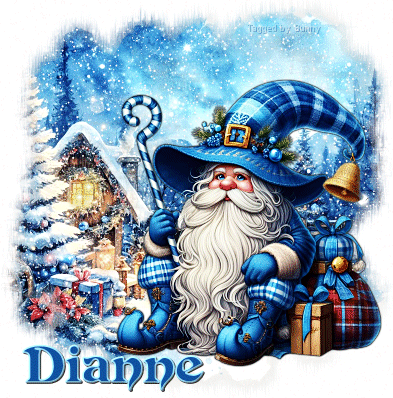 Dianne-Christmas-Gnome