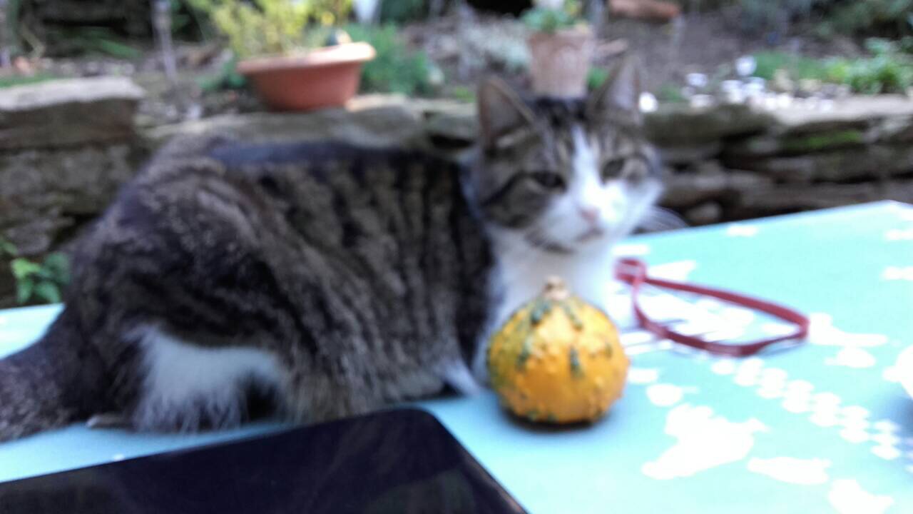 71DF4306-3294-4EDB-B024-46F841234C55