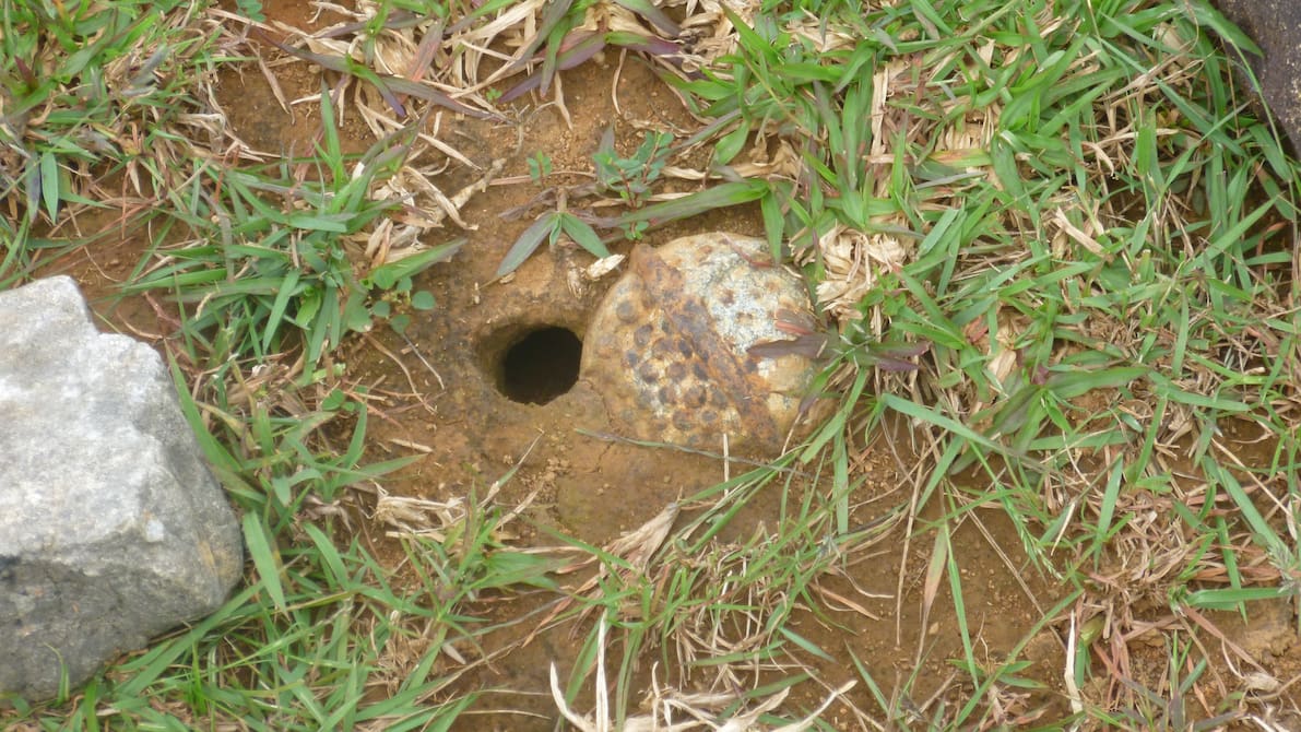 Los soviéticos instalaron este campo en agosto de 1941, cuando el avance de las tropas alemanas amenazaba la ciudad de Leningrado, hoy San Petersburgo. Foto referencial