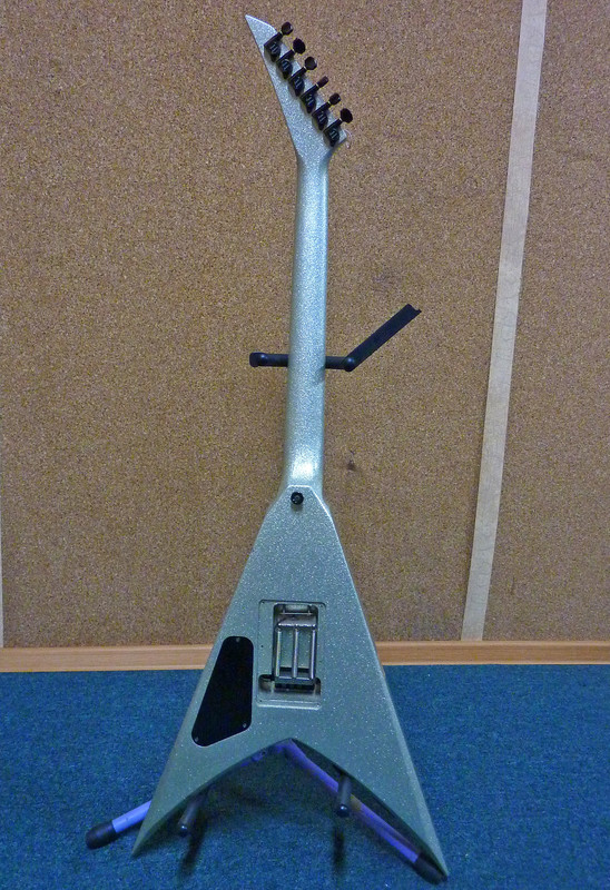 P1090040 copy