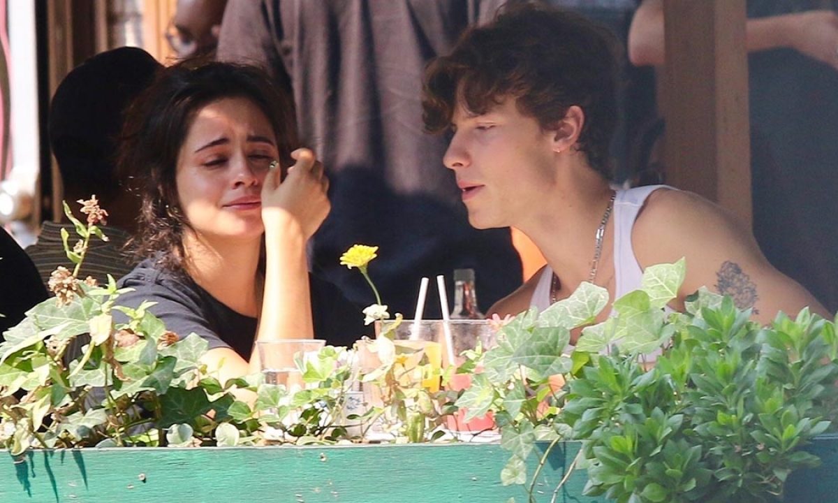 Camila Cabello comparte un obstáculo 