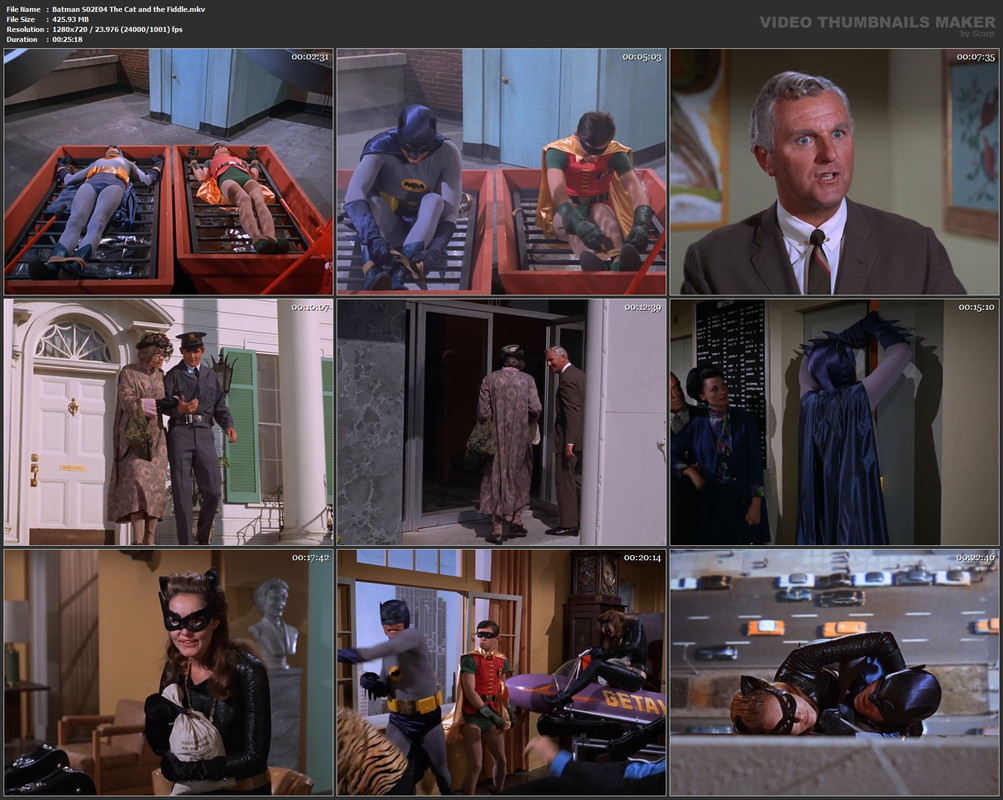 Batman S02E04 The Cat and the Fiddle.mkv
