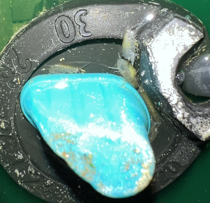 2F887FEE-49EB-41DC-B8E9-36C41604FBBA