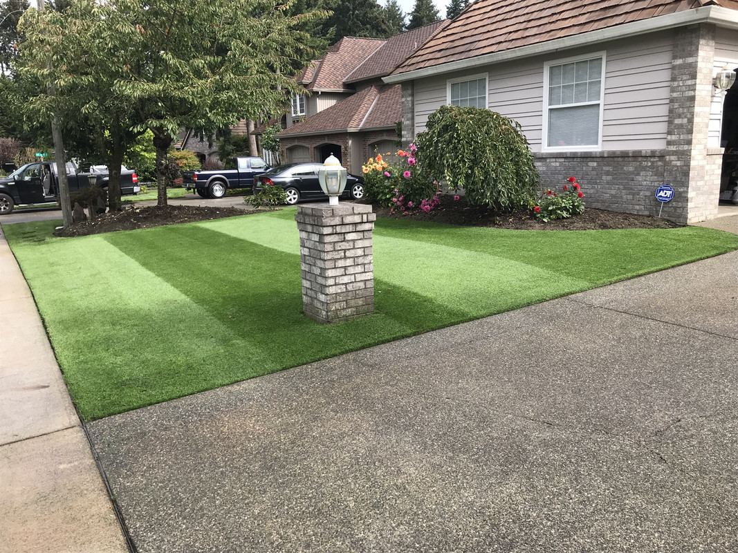 Puddles, puddles, puddles! How can I fix this? Lawn Care Forum