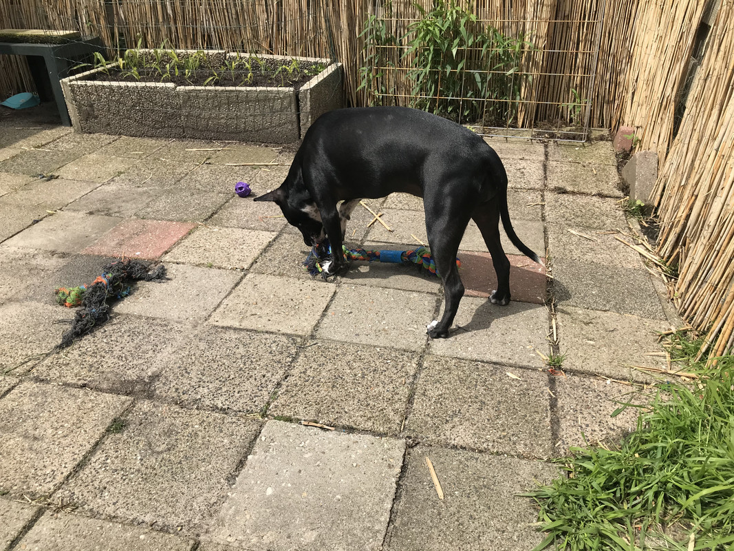 D3830383-9D5D-4B5B-BBF9-3AA6D8F47591