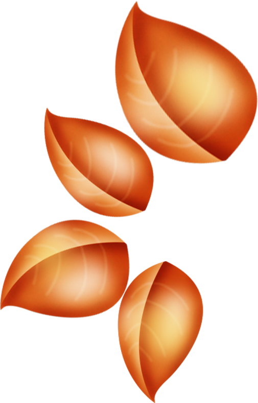 Pumpkinfairykitpudnelvess