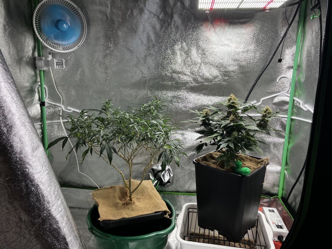 BB48E686-DE01-4EDA-94D1-BF562D254AC2