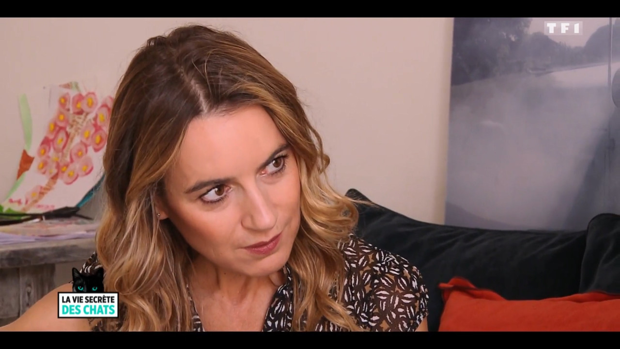 2020-05-30_10_35_TF1_La-vie-secrete-des-chats_Chats-et-sentiments-avec-Charlotte-Valan.mp4_snapshot_