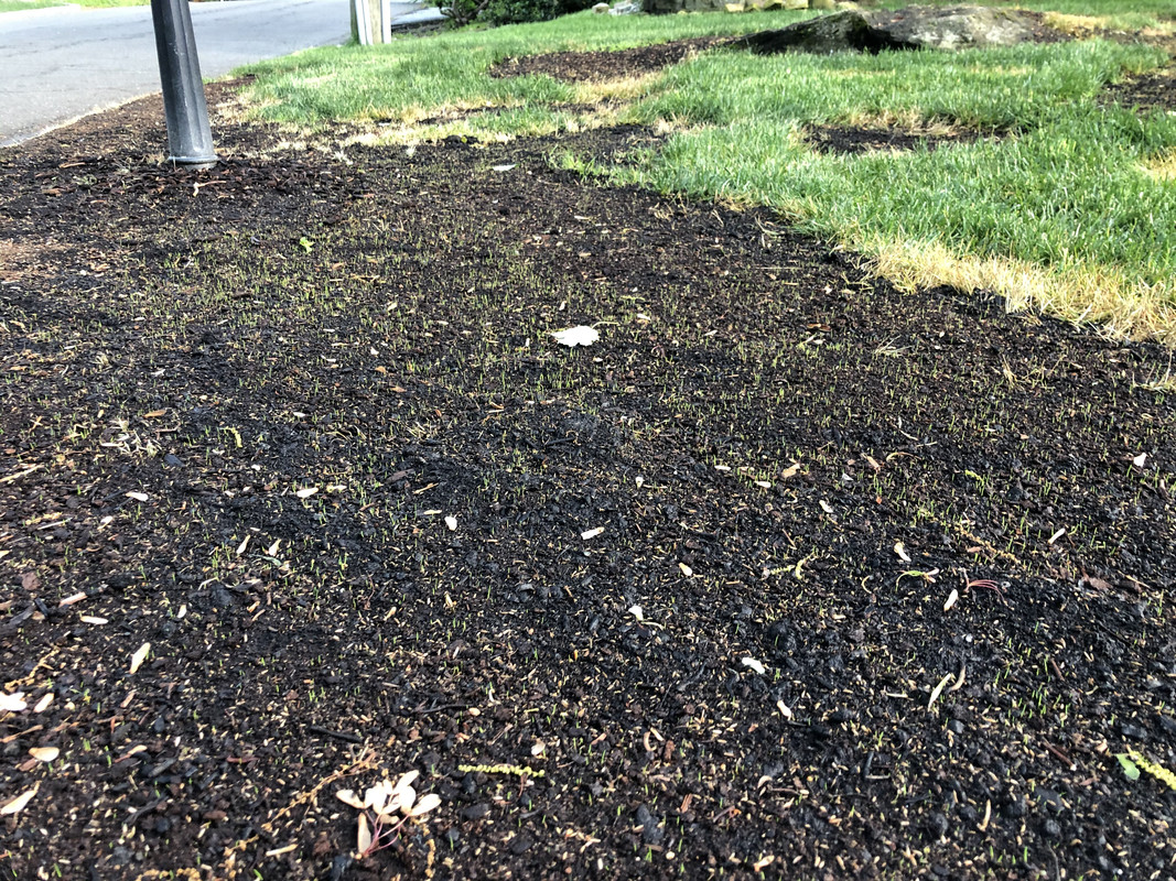 76312D36-35FF-4629-9FAE-927156832CA6